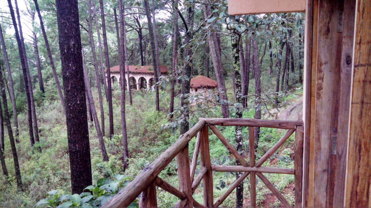 Cabana Rustica A 1Km De Cascada Мазамитла Экстерьер фото