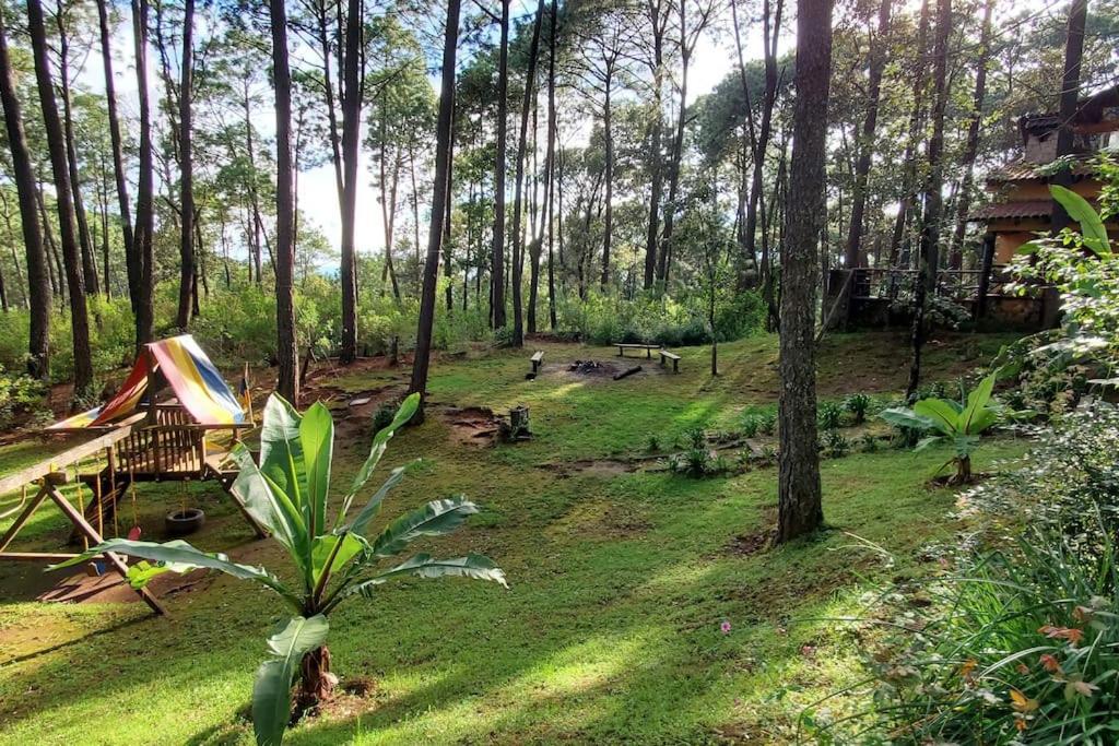 Cabana Rustica A 1Km De Cascada Мазамитла Экстерьер фото