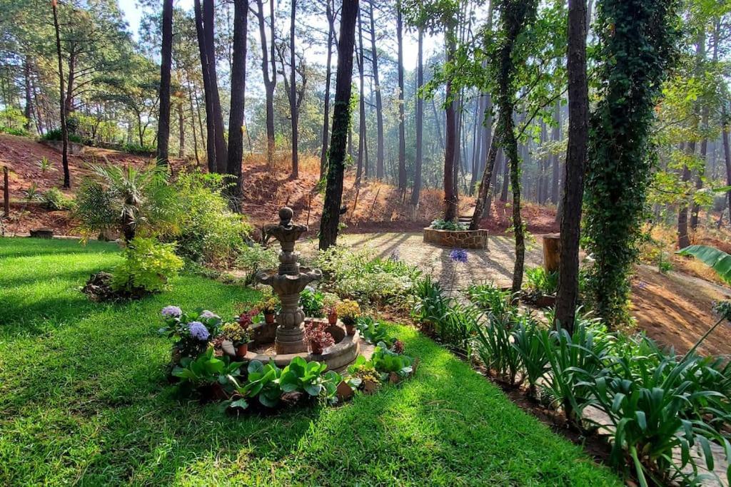 Cabana Rustica A 1Km De Cascada Мазамитла Экстерьер фото