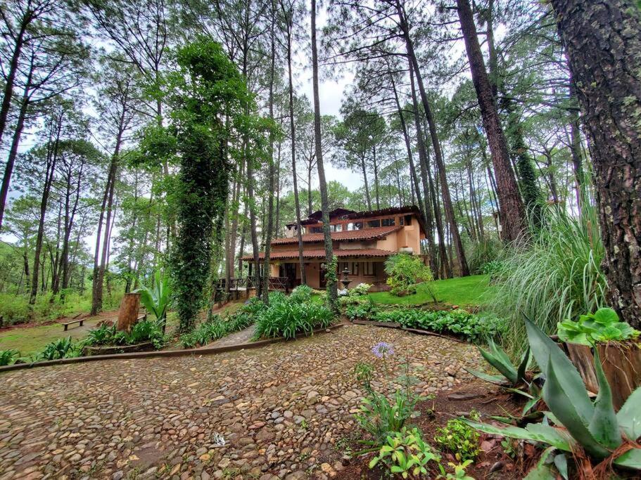 Cabana Rustica A 1Km De Cascada Мазамитла Экстерьер фото
